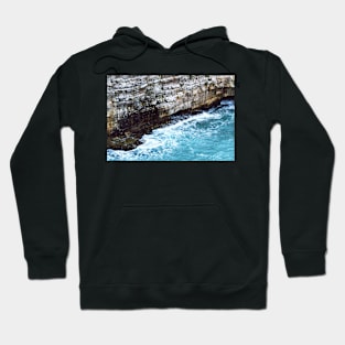 Wet Rocks Hoodie